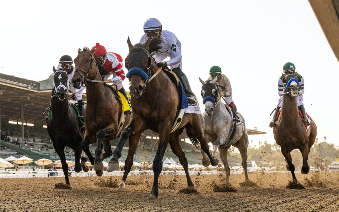 Commonwealth + WinStar – The Future of Horse Racing